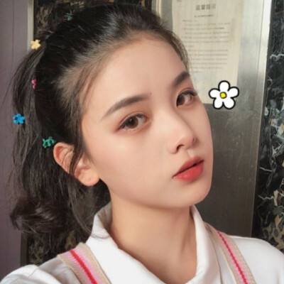 菜园不容侵犯游戏下载